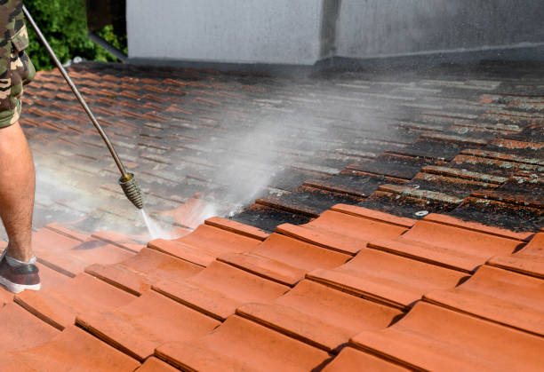 Best Concrete Pressure Washing  in Level Green, PA
